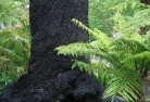 Torquay VICsustainable-landscaping-15.jpg; ?>